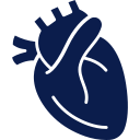 cardiology