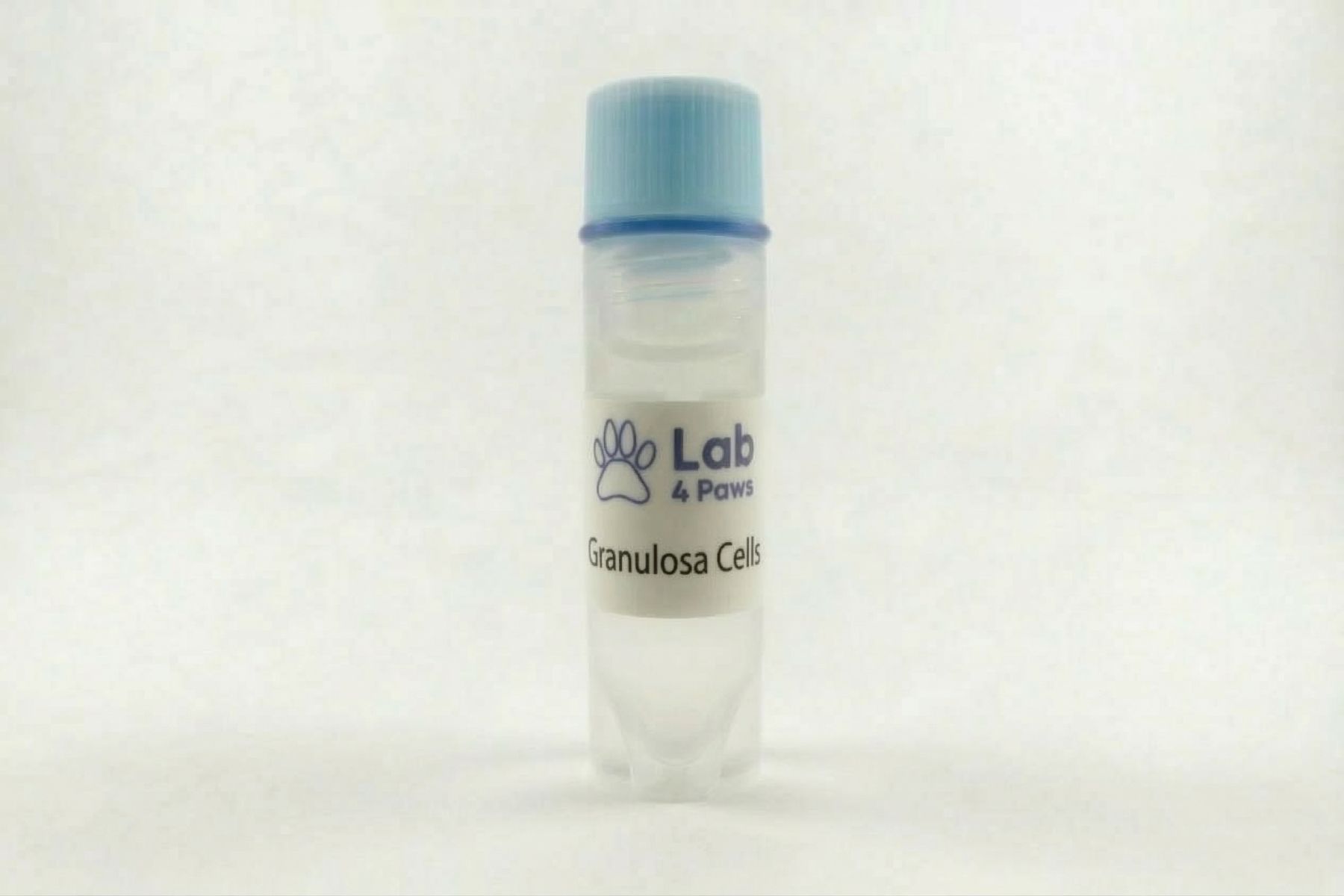 Granulosa Cells