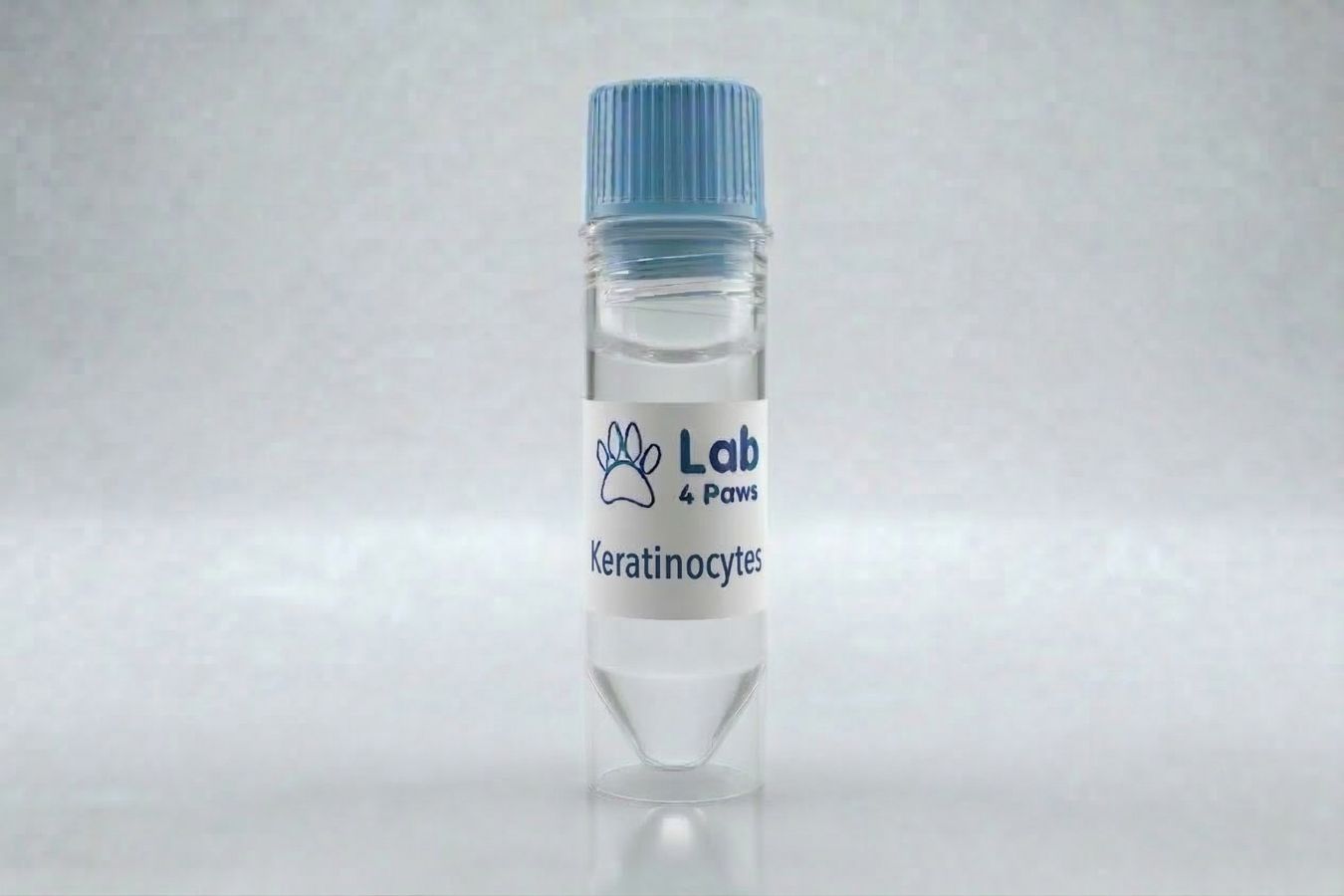 Keratinocytes