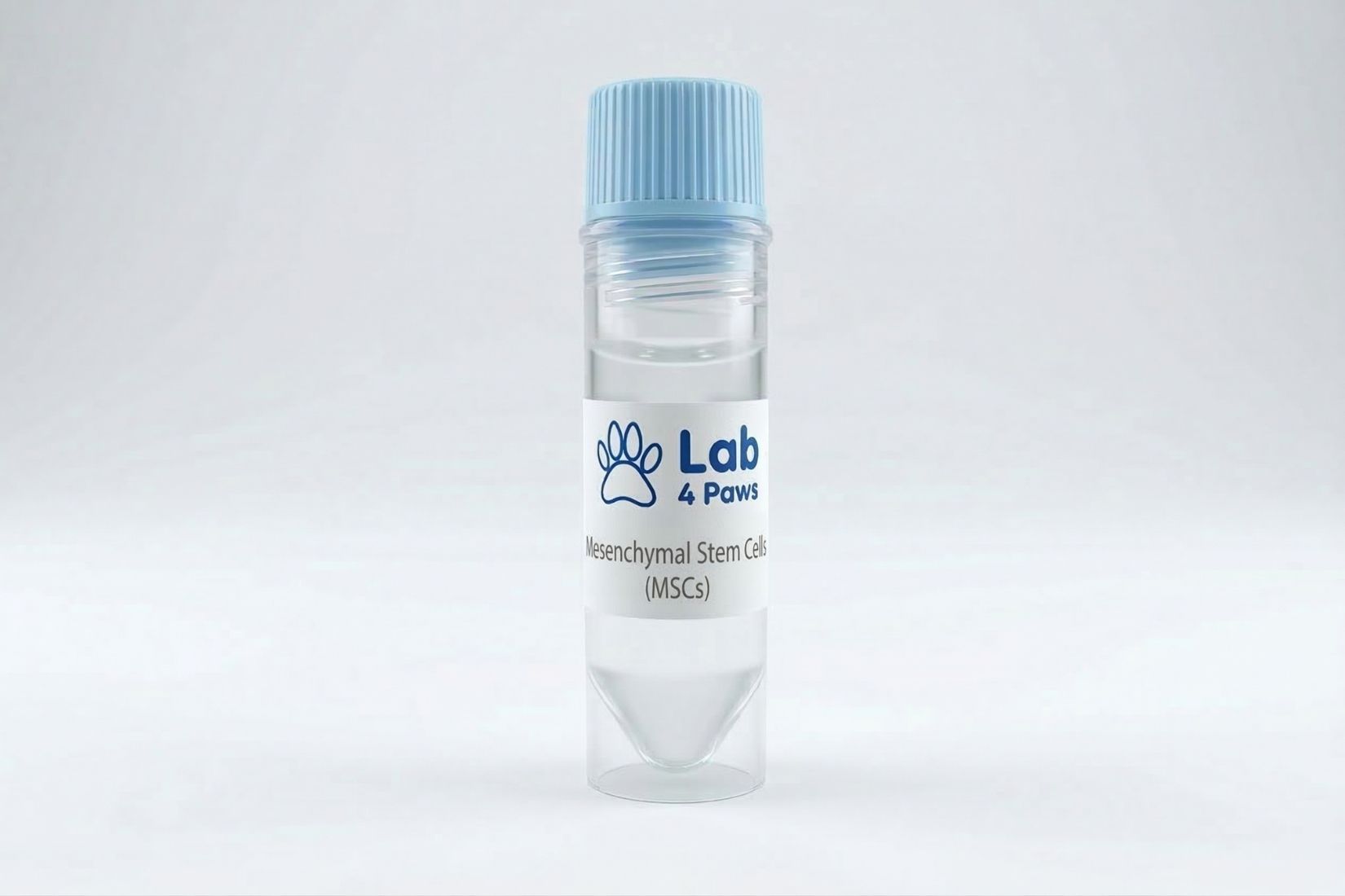 Mesenchymal Stem Cells (MSCs)