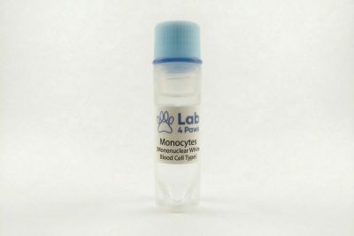 Monocytes