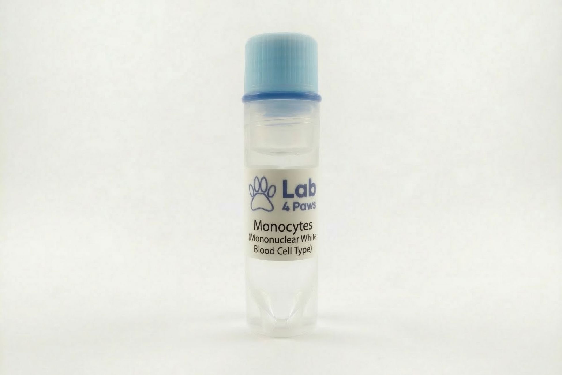 Monocytes