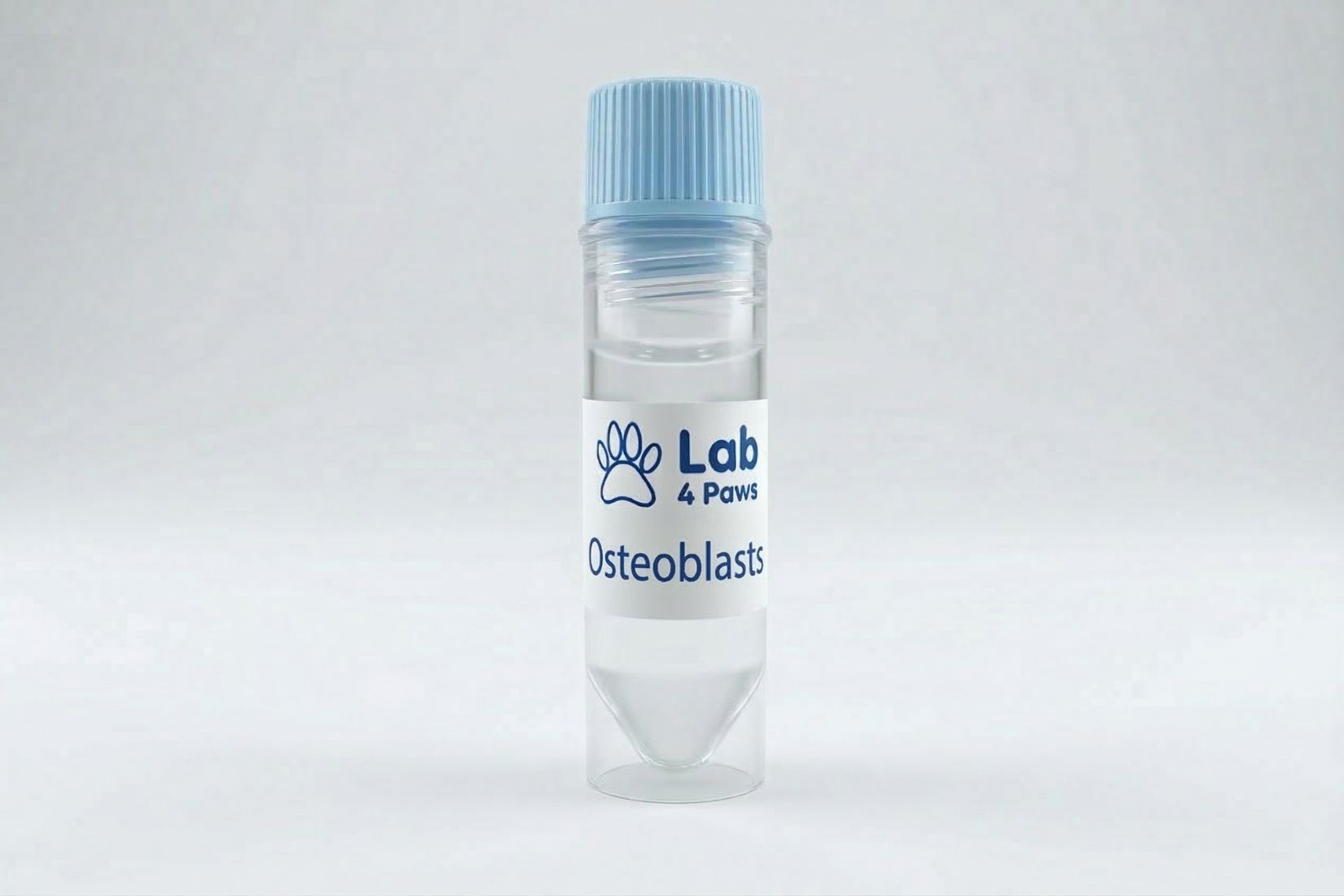 Osteoblasts