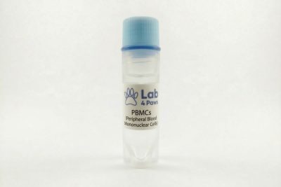 PBMCs (Peripheral Blood Mononuclear Cells)