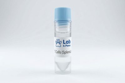 T Cells (Splenic)