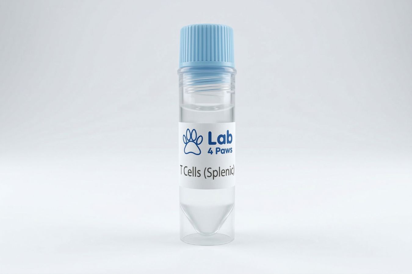T Cells (Splenic)